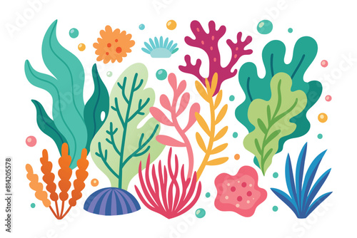 Colorful underwater plants and coral set illustration with seaweed and marine flora