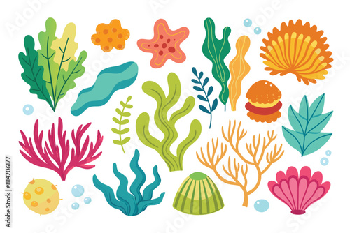 Cute Cartoon Underwater Marine Life Elements Set with Seaweed, Coral, Starfish, and Shells