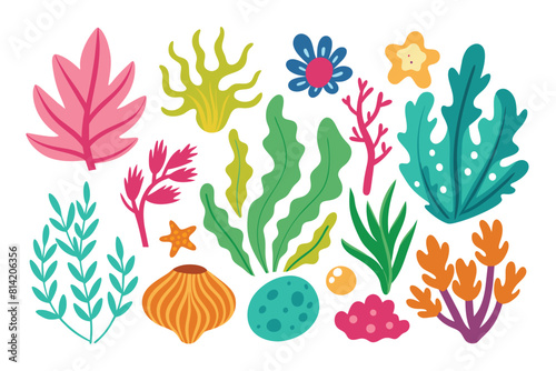 Collection of seaweeds and corals.