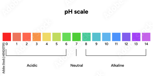 Ph scale infographic acid and alkaline diagram