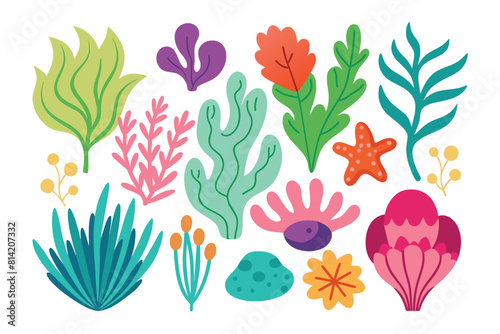 Collection of seaweeds and corals.