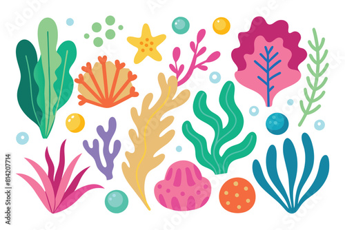 Collection of seaweeds and corals.