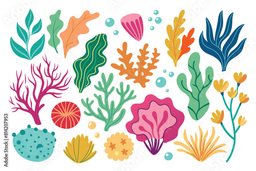 Collection of seaweeds and corals.