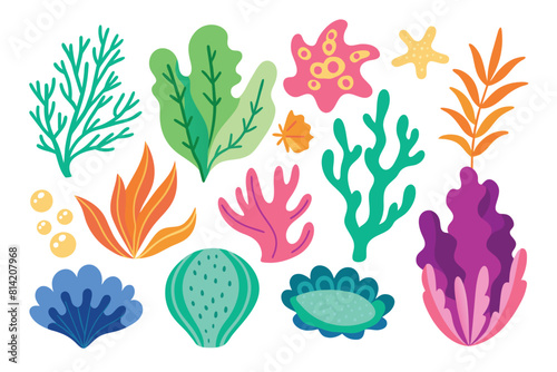 Collection of seaweeds and corals.