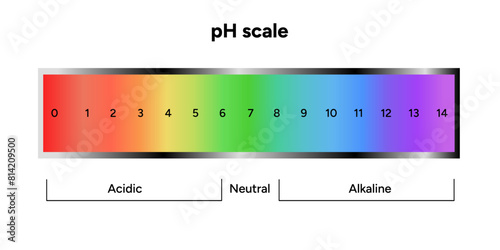 Ph scale infographic
 photo