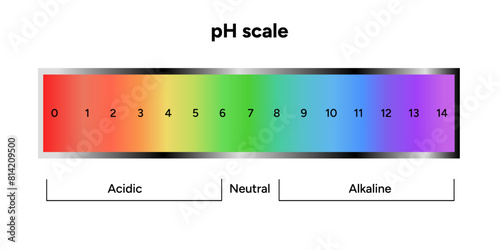 Ph scale infographic acid and alkaline diagram