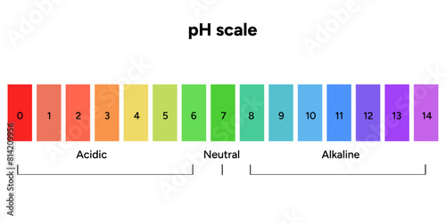 Ph scale infographic acid and alkaline diagram