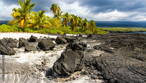 Palm Trees And The Volcanic Shoreline of Alahaka Bay at Puuhonua o Honaunau NHP, Hawaii Island, Hawaii, USA photo