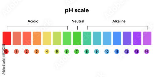 Ph scale infographic
