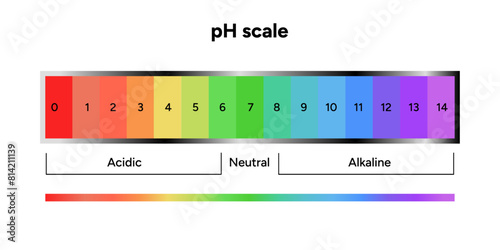 Ph scale infographic acid and alkaline diagram