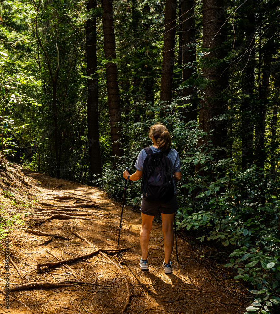 Obraz premium Female Hiker on The Sleeping Giant Trail, Kapa'a, Kauai, Hawaii, USA