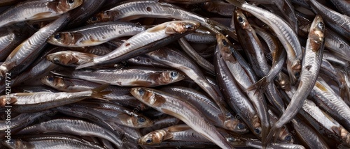 Large load of anchovy thrown on a big pile as they are being sold on the fish market. Anchovys in a fish market.