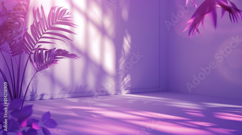 purple studio background with shadows