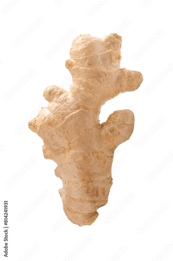 Ginger root isolated on white background Ginger root isolated on white background