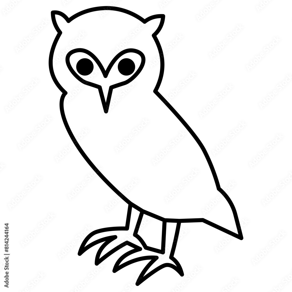 Fototapeta premium Owl