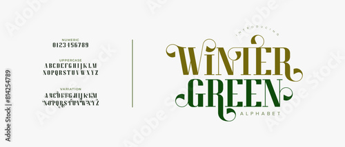 Wintergreen elegant font alphabet uppercase lowercase and number. Classic lettering minimal fashion designs. Typography modern serif fonts regular decorative vintage concept. Vector illustration
