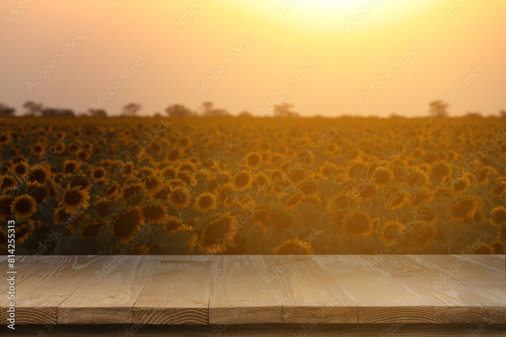 Fototapeta premium Sunflower field and empty wooden table at sunrise. Space for design