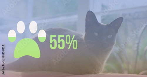 Image of cat's paw filling up with green and percent over cat