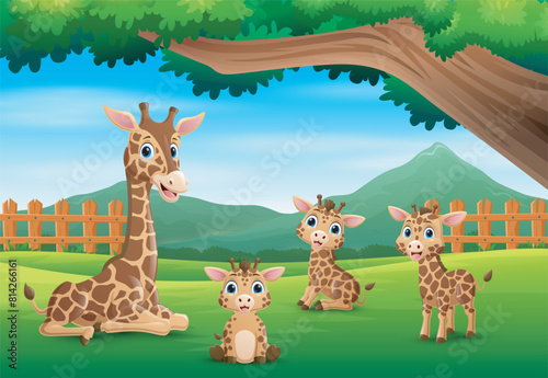A group of giraffe enjoying in the beautiful nature