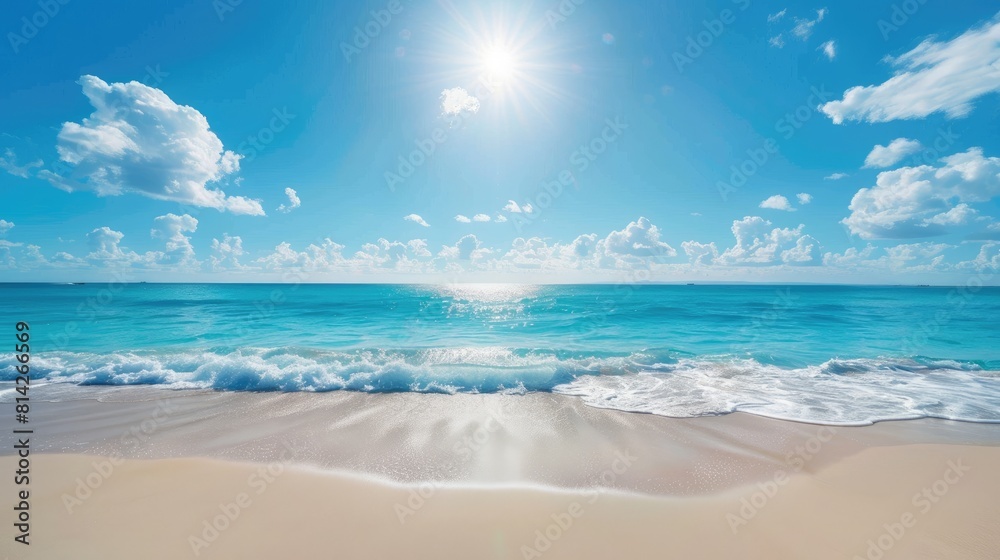 Sunny tropical beach with clear sky and gentle waves  