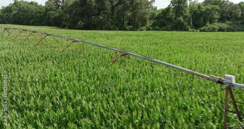 Flying low above an irrigation sprinkler system pivot in a field of corn blowing in the wind on a farm with a forest in the background