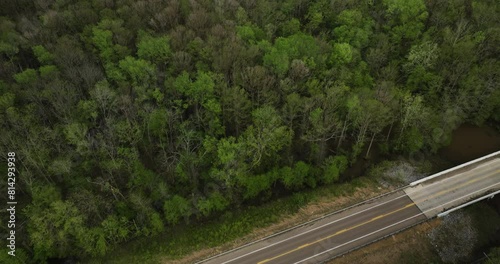 Road hidden in the forest, showcases environment-friendly infrastructure. photo