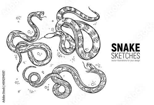 Set of hand-drawn snake sketches. Sketch, design, template for posters, prints, stickers and other printing