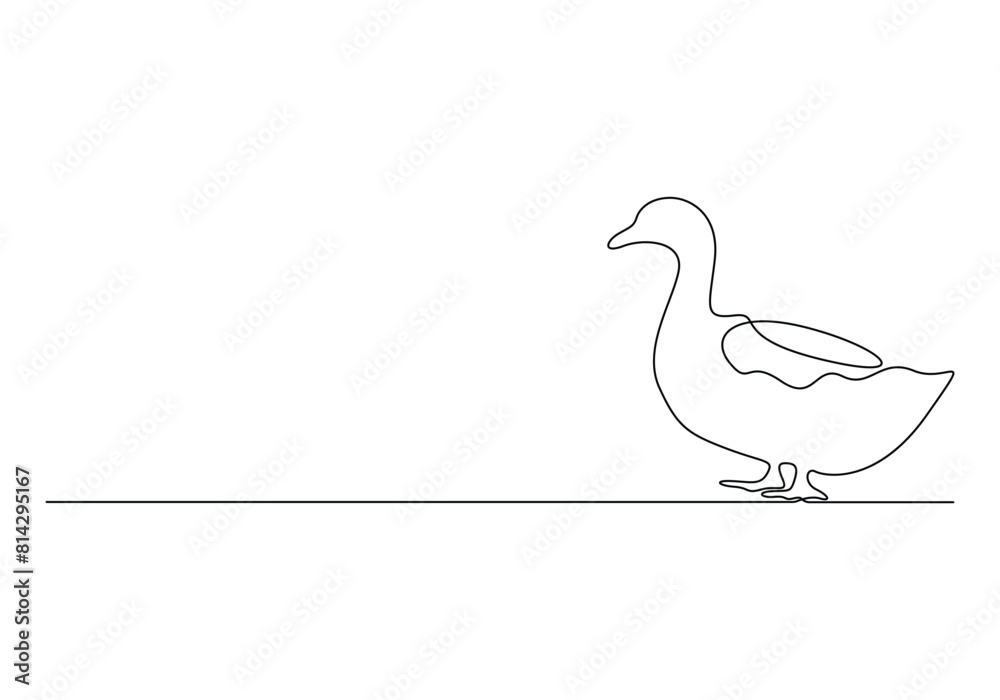 Continuous one line drawing of duck. Isolated on white background vector illustration Continuous one line drawing of duck. Isolated on white background vector illustration