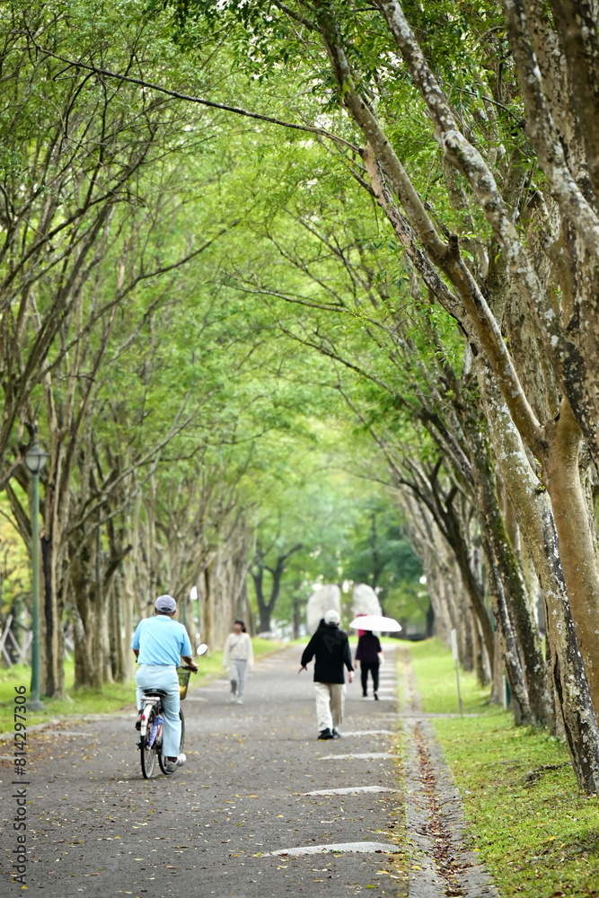 Taiwan - Mar 30, 2024: Luodong Sports Park's extensive trail network, adorned with vibrant blossoms, offers a blissful retreat for nature lovers and walkers alike. Taiwan - Mar 30, 2024: Luodong Sports Park's extensive trail network, adorned with vibrant blossoms, offers a blissful retreat for nature lovers and walkers alike.