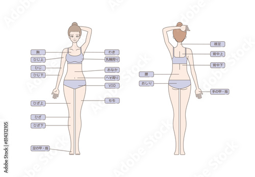 女性の脱毛のイラスト 全身