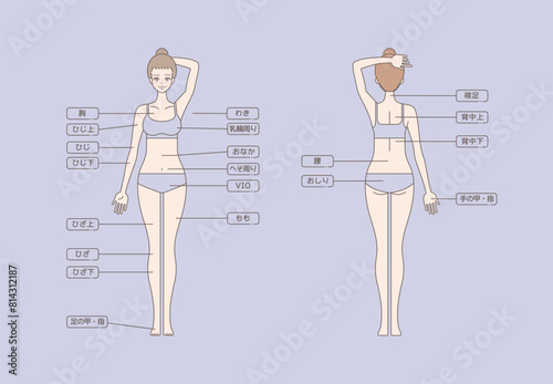 女性の脱毛のイラスト 全身