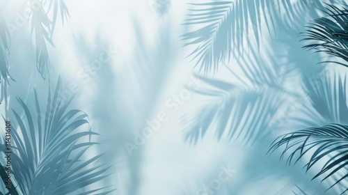 Abstract background with palm leaves shadows on white wall minimalist