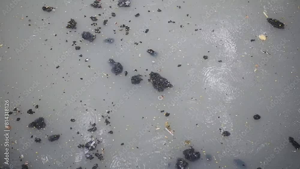 The river flow is polluted with various kinds of dirty materials The river flow is polluted with various kinds of dirty materials