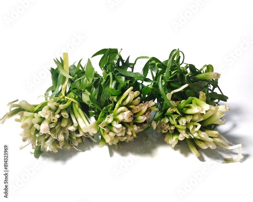 Genjer vegetable or Limnocharis flava. Limnocharis flava vegetable on a white background 