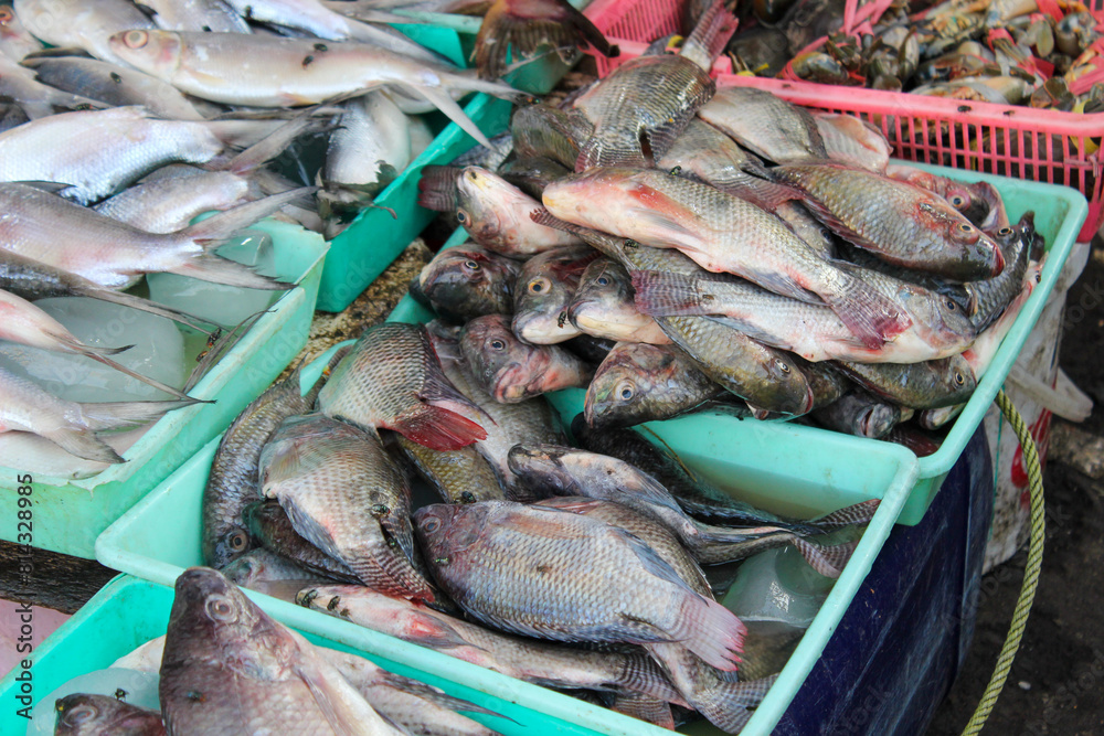 various kinds of fish in each container ready to be sold in traditional markets various kinds of fish in each container ready to be sold in traditional markets