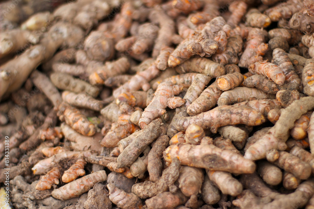 turmeric, kunyit, kunir, or kurkuma which are commonly used as traditional medicinal drinks and as food coloring ingredients