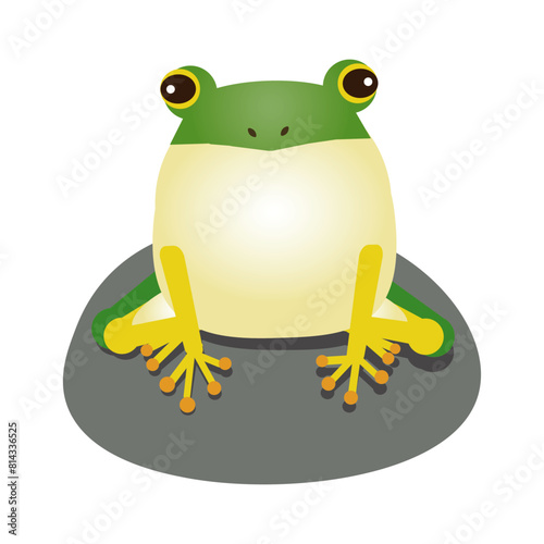 石の上に座るかわいいカエルのイラスト