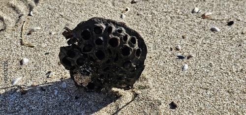 Photography Shore line oddities