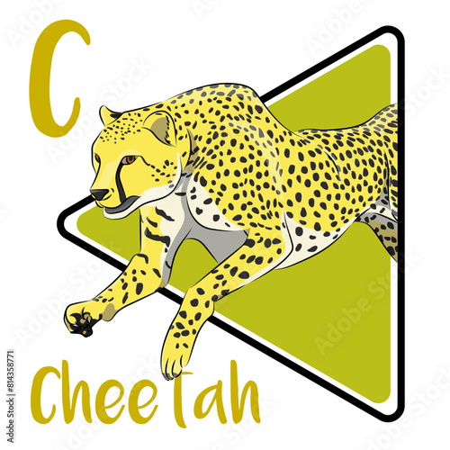 The cheetah is the world's fastest land animal and Africa's most endangered big cat. These fierce felines hunt during the day to avoid competition. The flexibility of the cheetah's spine is unique.