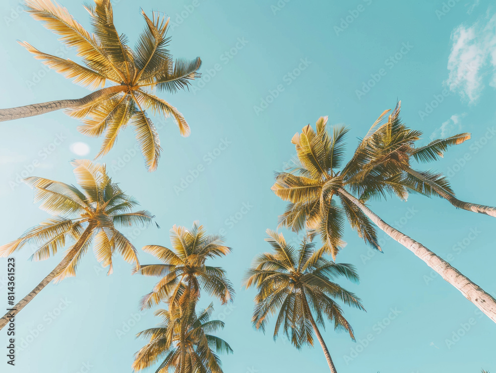 low angle view of beautiful coconut tree over blue sky, fluffy cloud, copyspace area for text - ai low angle view of beautiful coconut tree over blue sky, fluffy cloud, copyspace area for text - ai