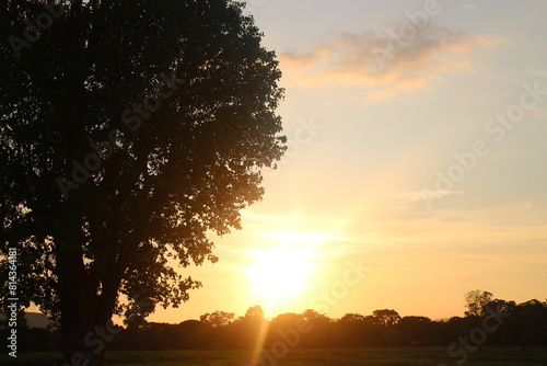 Panorama sunset sky and cloud background