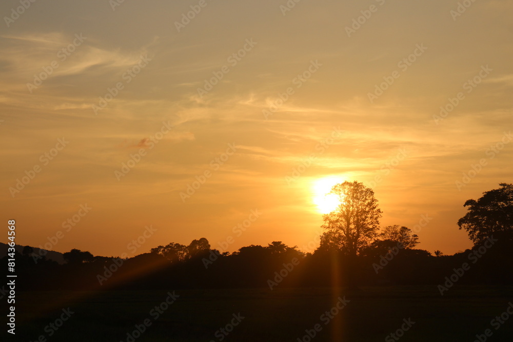 Panorama sunset sky and cloud background