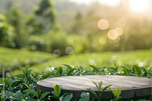 Fresh morning ambiance at tea plantation  empty wooden pedestal providing copy space for product display  with blurred background of tea leaves and sun rays