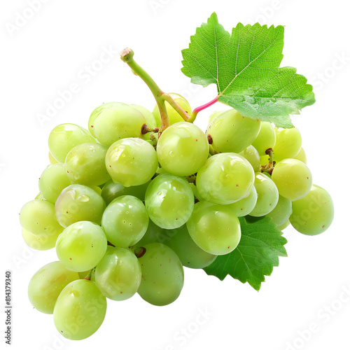 Rich green grapes Isolated on transparent background