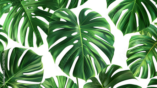 Various green tropical leaves on a white background