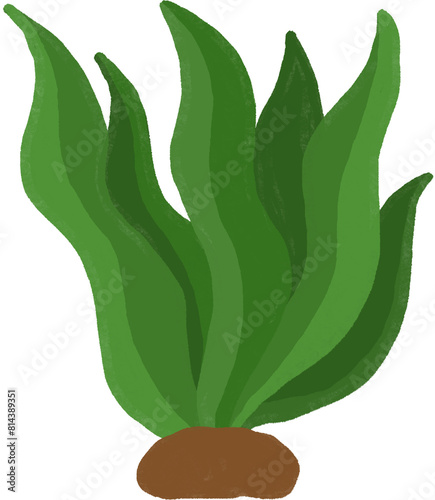 seaweed cartoon. underwater clipart