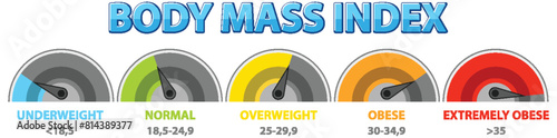 Visual representation of BMI categories