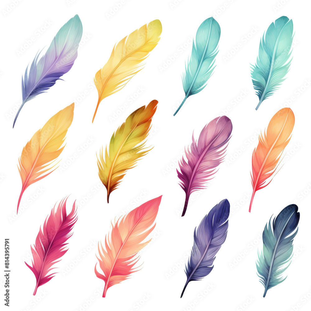 A bunch of colorful feathers. A bunch of colorful feathers.