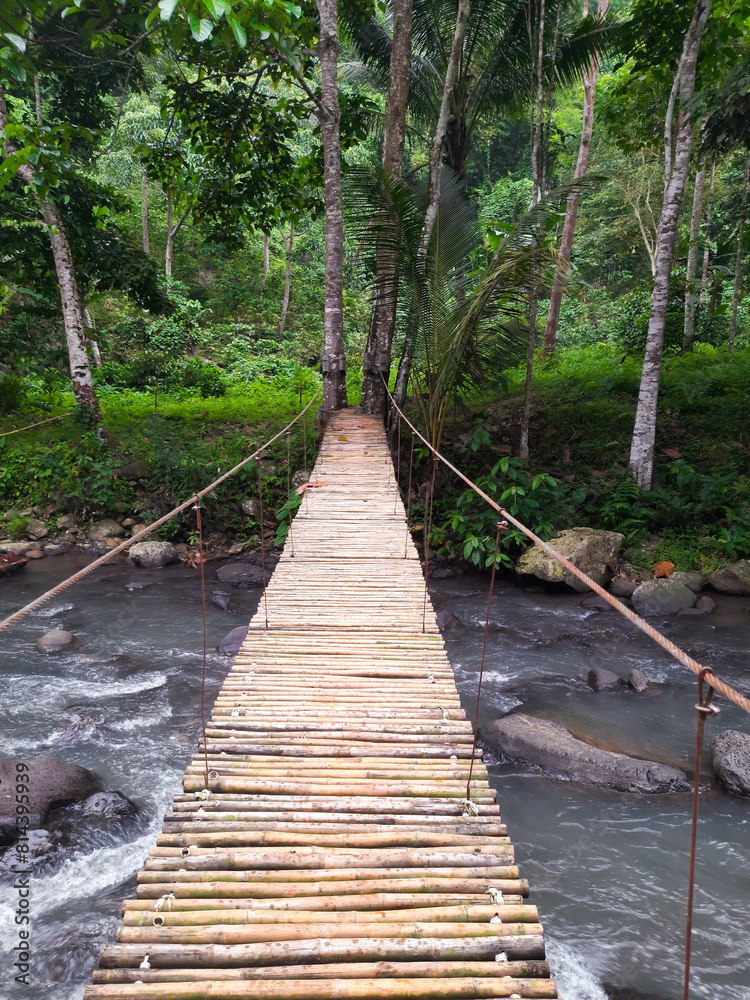 Fototapeta premium the views of bamboo bridge on the river