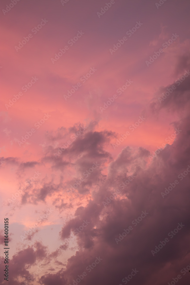 The sky is painted with vivid pink and purple hues, marking the canvas of a stormy, cloudy sunset. Fluffy cumulus clouds stand out prominently against this colorful backdrop, adding depth and texture. The sky is painted with vivid pink and purple hues, marking the canvas of a stormy, cloudy sunset. Fluffy cumulus clouds stand out prominently against this colorful backdrop, adding depth and texture.